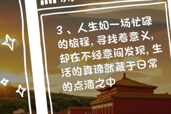 探秘20041107命盘，解读人生的奇妙旅程