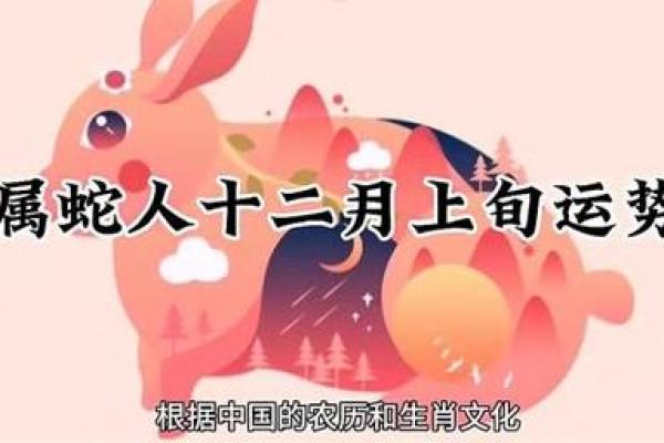 2024年蛇年的命运与运势解读：挑战与机遇并存的年份