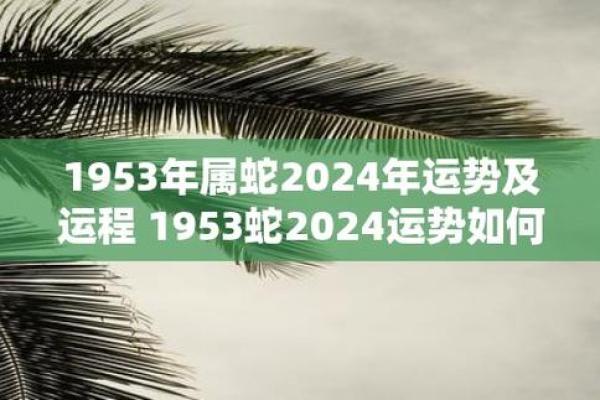 2024年蛇年的命运与运势解读：挑战与机遇并存的年份