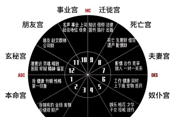 揭开7命命格的神秘面纱，探索人生的潜能与挑战