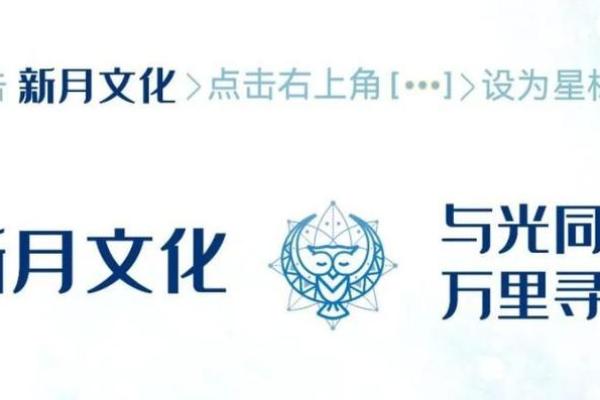 1990814的命运解析：探索数字背后的秘密与人生轨迹
