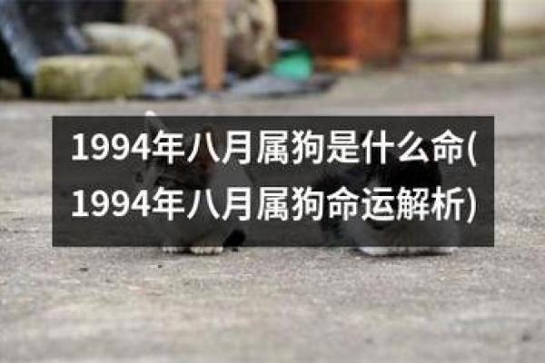 1957年属鸡人的命运解析与人生建议