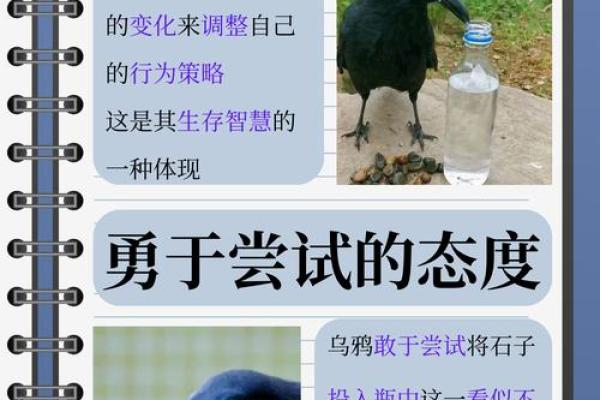 探寻“什么多什么命”的成语智慧，揭示生活中的哲理与启示