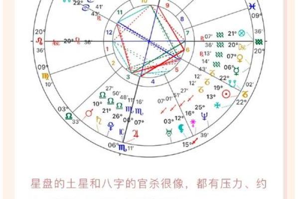 命局命主身主：解密人生的内在力量与外在影响
