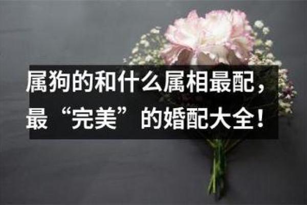 水虎命与生肖婚配：探寻最适合的伴侣命理之道