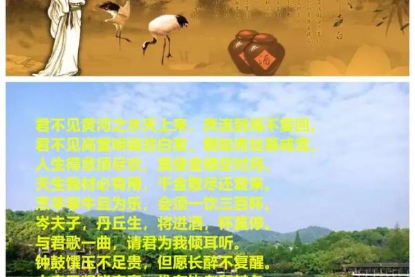 借古诗词之美，品味生活之趣——从李白《将进酒》看人生哲学