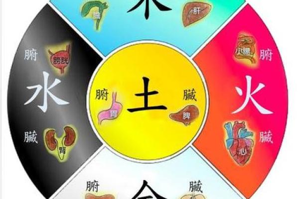 金多木命：无火命格的独特魅力与生活智慧