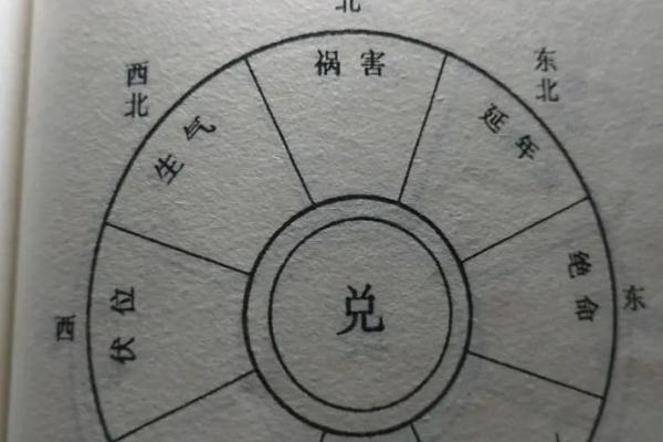 1981年命卦解析:与你的命运息息相关的八卦之谜 1981年命卦解析:与你的命运息息相关的八卦之谜