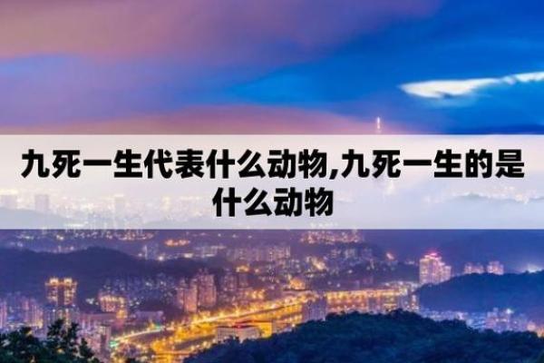 1972年正月十三的命理探秘：你的生肖是如何影响你的一生的？