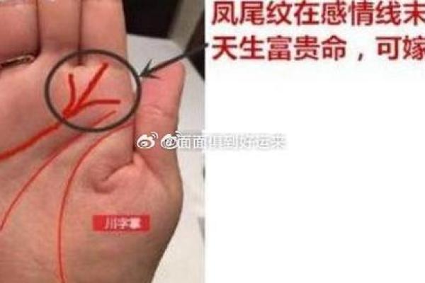 探索男命女命中的凤尾纹:命运的独特象征与解读 探索男命女命中的凤尾纹:命运的独特象征与解读