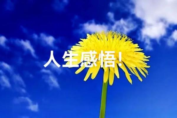 命理解读：探寻“克父母”命象背后的深层含义与人生智慧