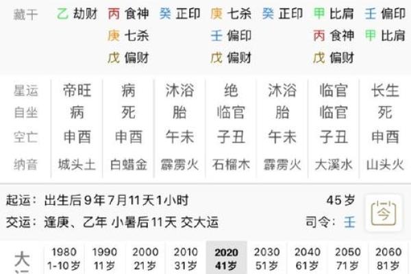乙亥戊子丙子的命理解析:揭示你的命运之路与内在潜能 乙亥戊子丙子的命理解析:揭示你的命运之路与内在潜能