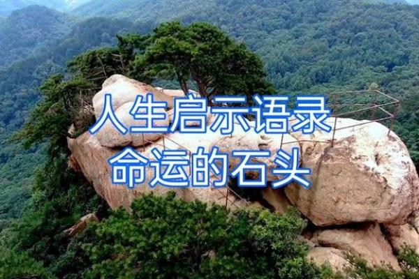 嘴巴向下弯的命运:揭示生活中的深层含义与启示 嘴巴向下弯的命运:揭示生活中的深层含义与启示