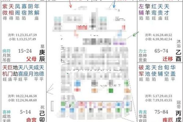 什么样的命盘代表上等命？揭秘紫微斗数的奥秘！
