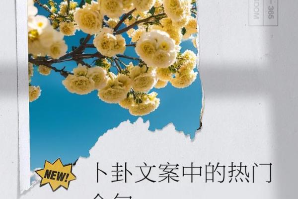 女丁生于十五，命运如歌细说人生玄机