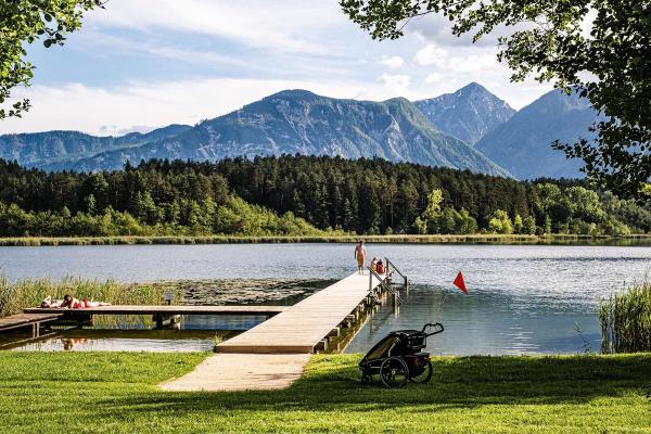 属猴的金命与哪些命相合最为理想?探寻最佳搭配! 属猴的金命与哪些命相合最为理想?探寻最佳搭配!