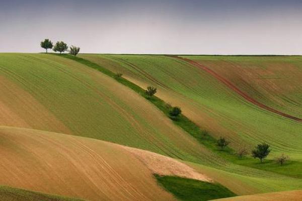 命理解析:1993年6月3日出生者的命运特征与人生运势 命理解析:1993年6月3日出生者的命运特征与人生运势