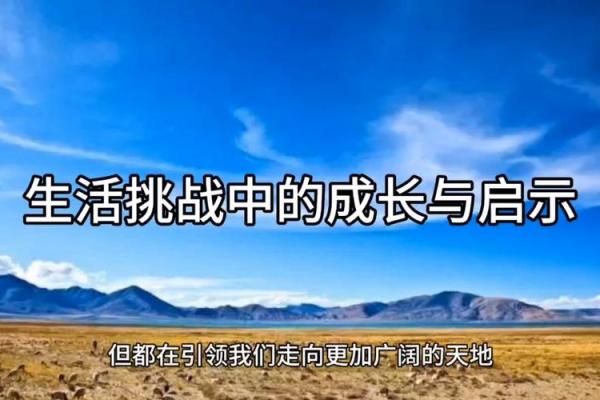探索19841101命理的奥秘：个性与生活的启示