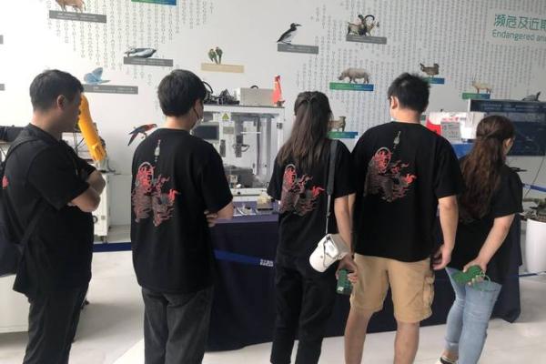 为什么老杨一命等于六命?探寻生命的奥秘与价值 为什么老杨一命等于六命?探寻生命的奥秘与价值