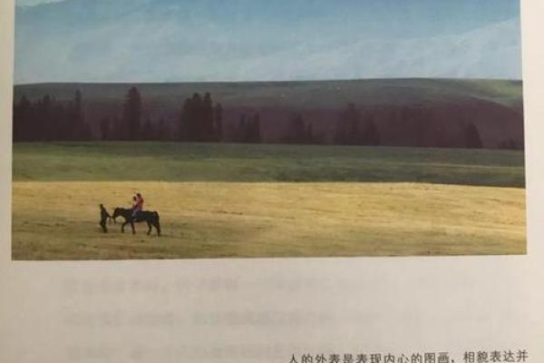 为什么老杨一命等于六命?探寻生命的奥秘与价值 为什么老杨一命等于六命?探寻生命的奥秘与价值