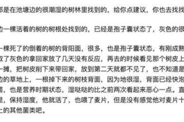 养什么死什么：探索人与宠物之间的命运纽带