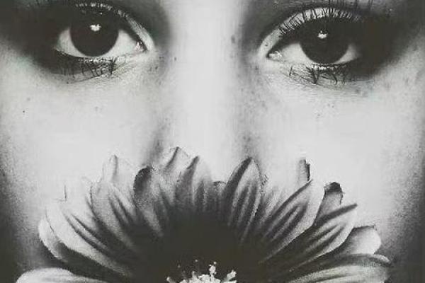 花什么什么命,追寻生命中的美好与勇气 花什么什么命,追寻生命中的美好与勇气