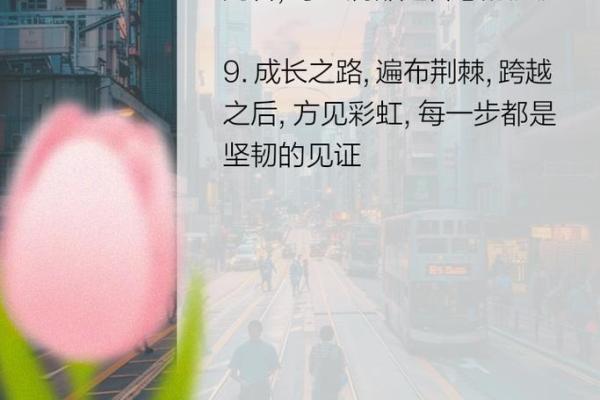 一九九七八年的命运与时光：从历史中探寻生活的智慧与启示