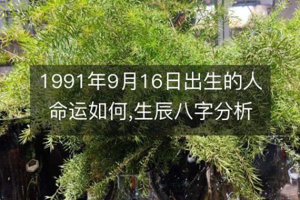2003年9月8日出生的命运与人生启示探讨 2003年9月8日出生的命运与人生启示探讨