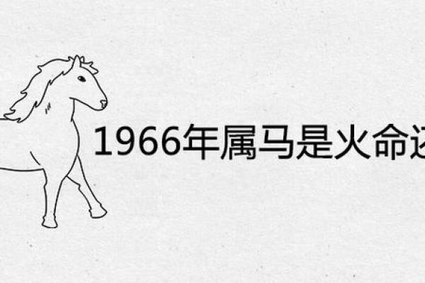 1966年马年出生者的命运与人生探索