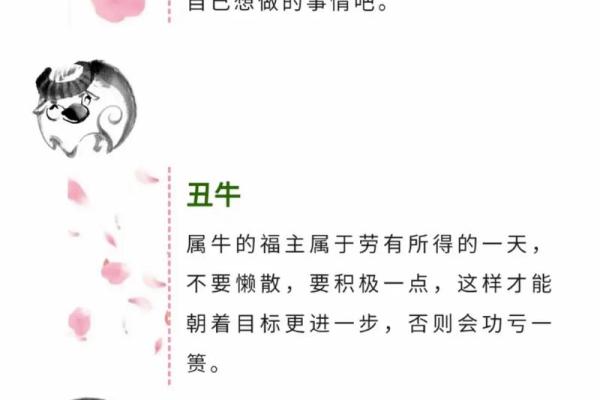 揭秘2017腊月属鸡的命运特征与运势分析 揭秘2017腊月属鸡的命运特征与运势分析