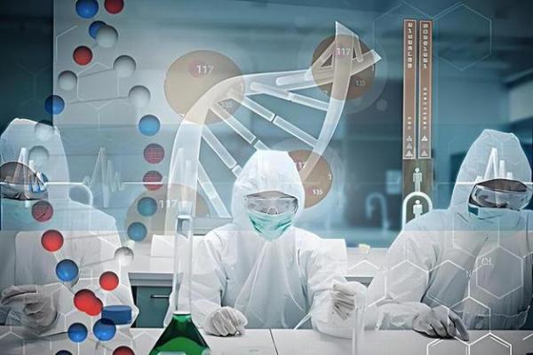197年出生的人是金命还是土命？探讨五行命理与人生之道