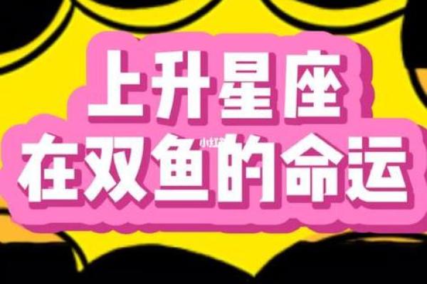 探索命运:哪些星座和生肖组合会让你的人生最辉煌? 探索命运:哪些星座和生肖组合会让你的人生最辉煌?