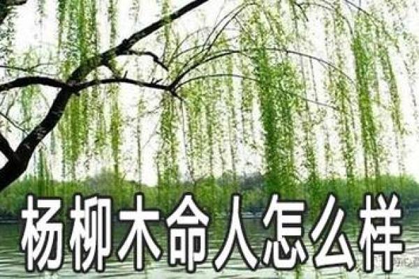 杨柳木命与适合的命理配偶探讨：寻找生命中的那一根“柳”