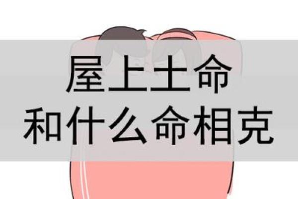 属牛人命理分析:土命与其他命格的独特魅力与运势探讨 属牛人命理分析:土命与其他命格的独特魅力与运势探讨