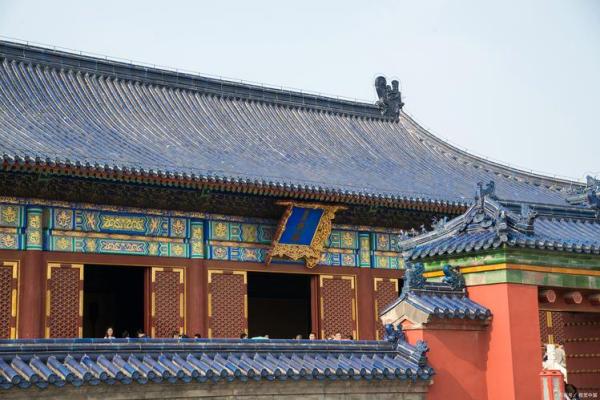 19950221出生的命运与个体特征探究 19950221出生的命运与个体特征探究