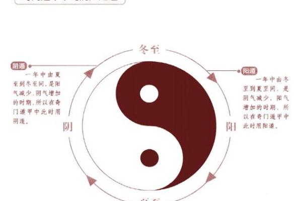 天上火命生存的秘密：揭开五行相生的奥秘