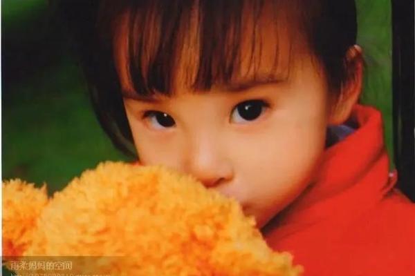 探秘1985年9月24日出生者的命理与人生旅程