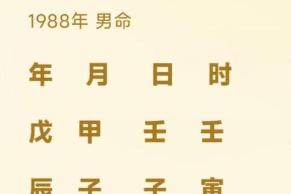 1991年8月4日出生的命运解析——探寻八字中的秘密与人生智慧 1991年8月4日出生的命运解析——探寻八字中的秘密与人生智慧