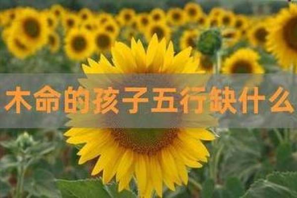 木命交运当日忌讳事项，助你运势畅通无阻！