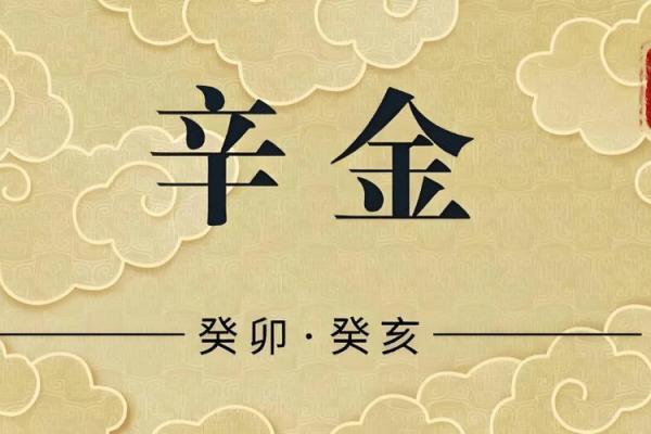 金命父母适合生什么命的孩子？探秘命理与家庭的和谐!