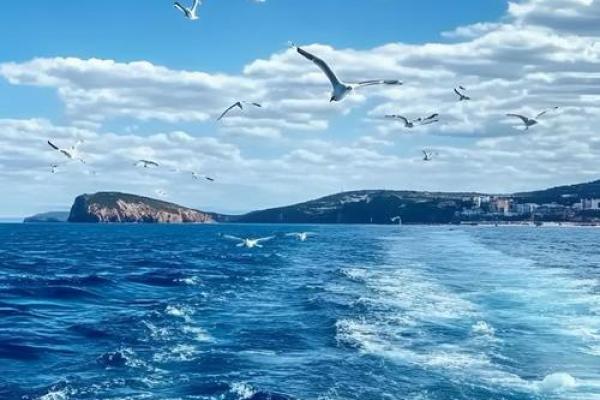 解密出生日期：20020307命格与人生旅程的解读