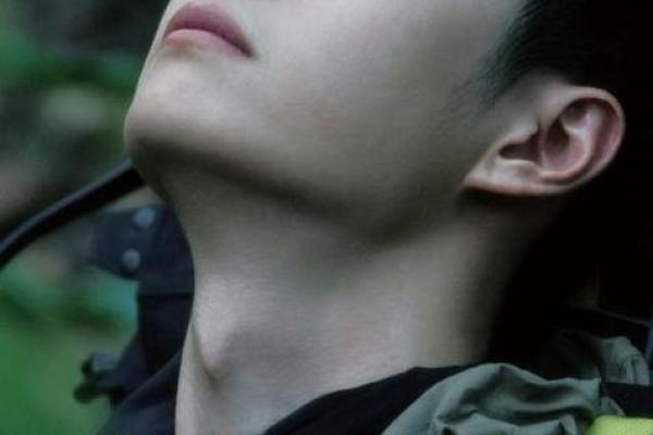 男的海中金命与命运搭配:探索最佳配命之道 男的海中金命与命运搭配:探索最佳配命之道