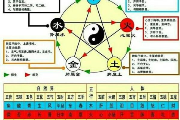 为什么有土命还有火命？探究五行命理的奥秘与影响