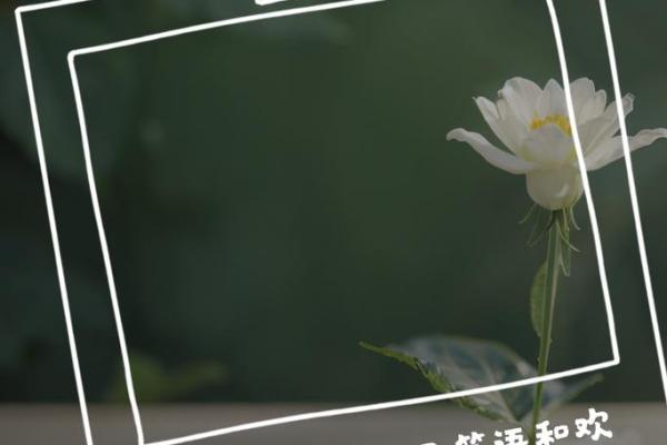 阴历1999年出生的命运解析:探索幸福人生的秘密 阴历1999年出生的命运解析:探索幸福人生的秘密