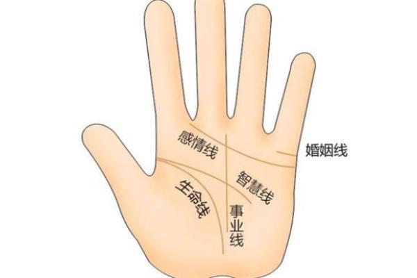 2001腊月13日出生的人命理解析与生活智慧