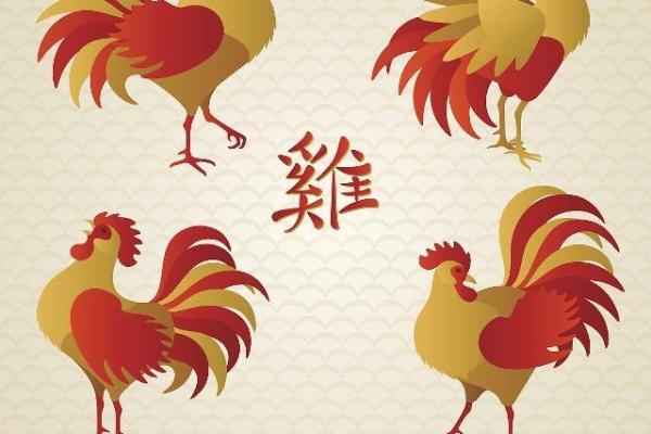 2016年猪年：生肖八字与命运解析，助你把握人生机遇！