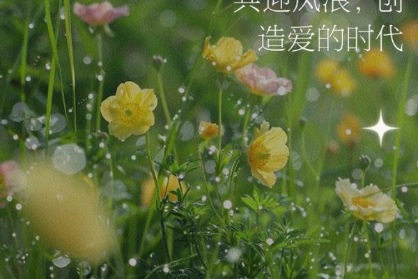 2015羊年正月出生的宝宝命运解析：揭示你的性格与未来之路