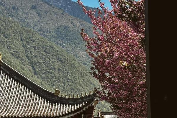 探秘仙命与化命：生命的神秘旅程与自我塑造