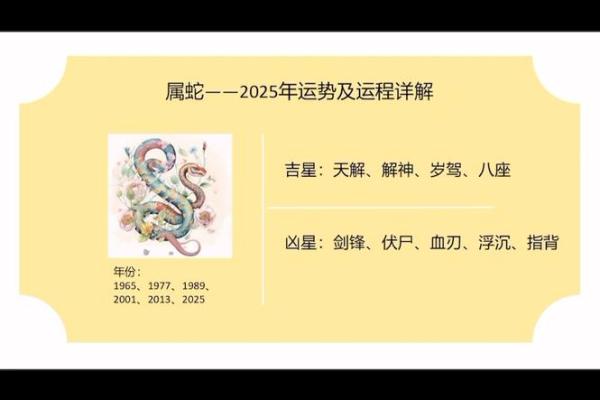 1965年出生的人有什么命缺什么?一生的运势分析与建议 1965年出生的人有什么命缺什么?一生的运势分析与建议