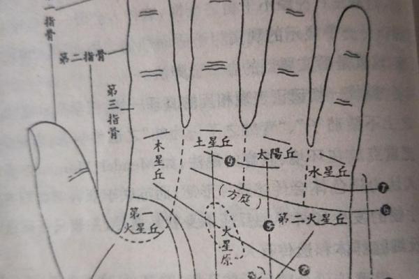 生个宝宝什么命最好?揭秘幸福命运的秘密 生个宝宝什么命最好?揭秘幸福命运的秘密
